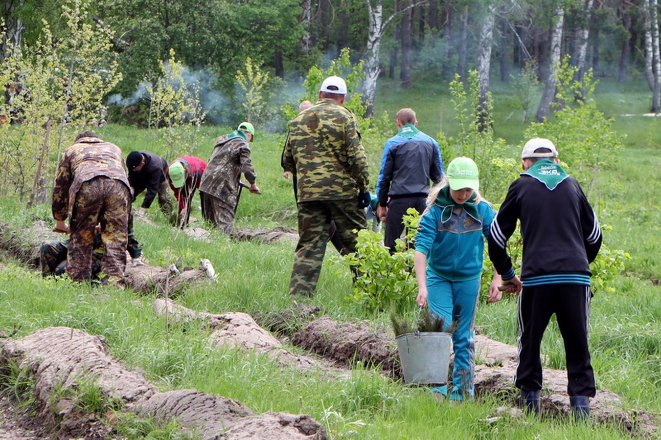 Альбом Всероссийский День посадки леса